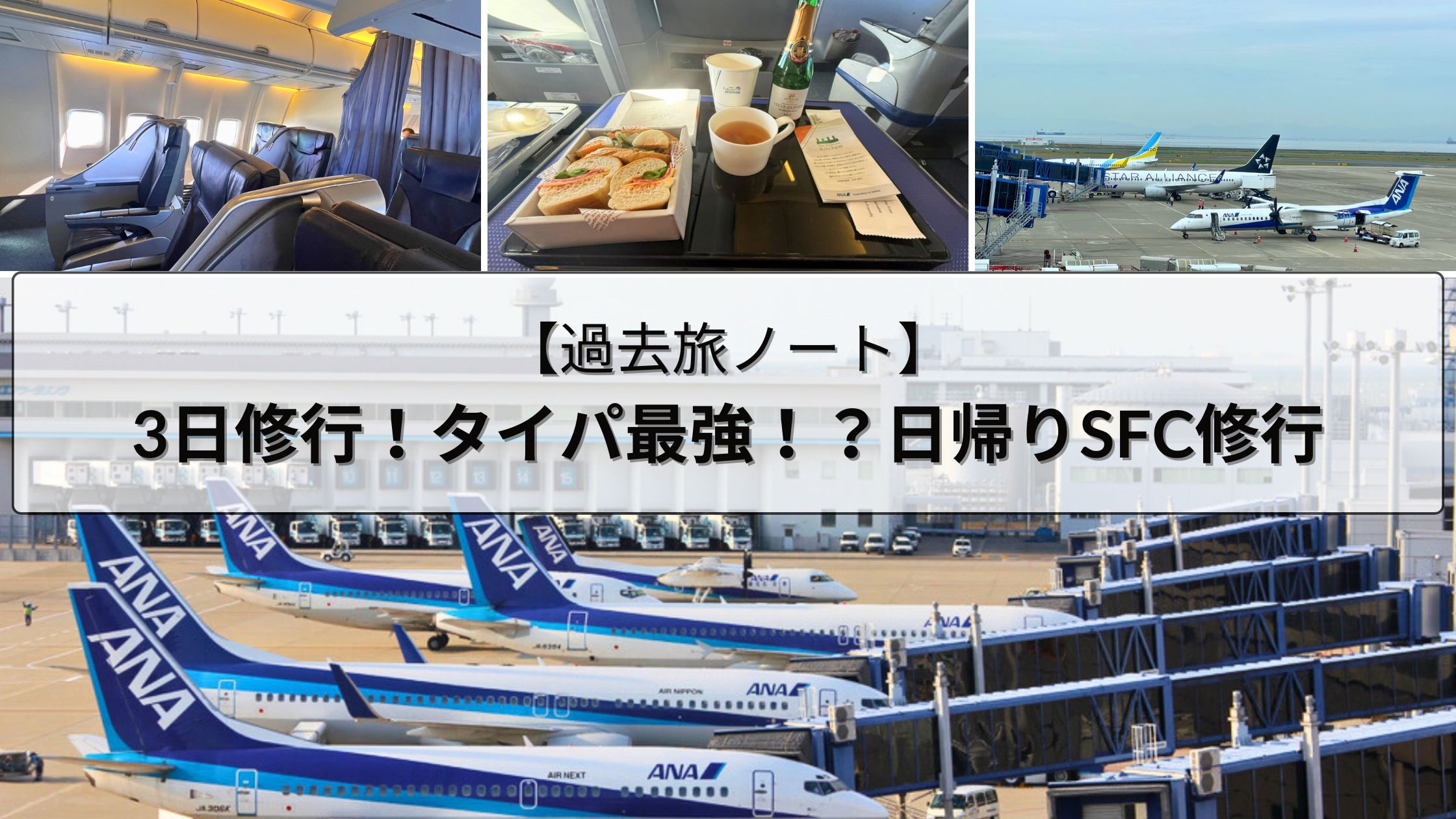 SFC修行を日帰り3日で完遂｜費用・ルート・PP単価まとめ｜サンウェストのファミリートラベルノート