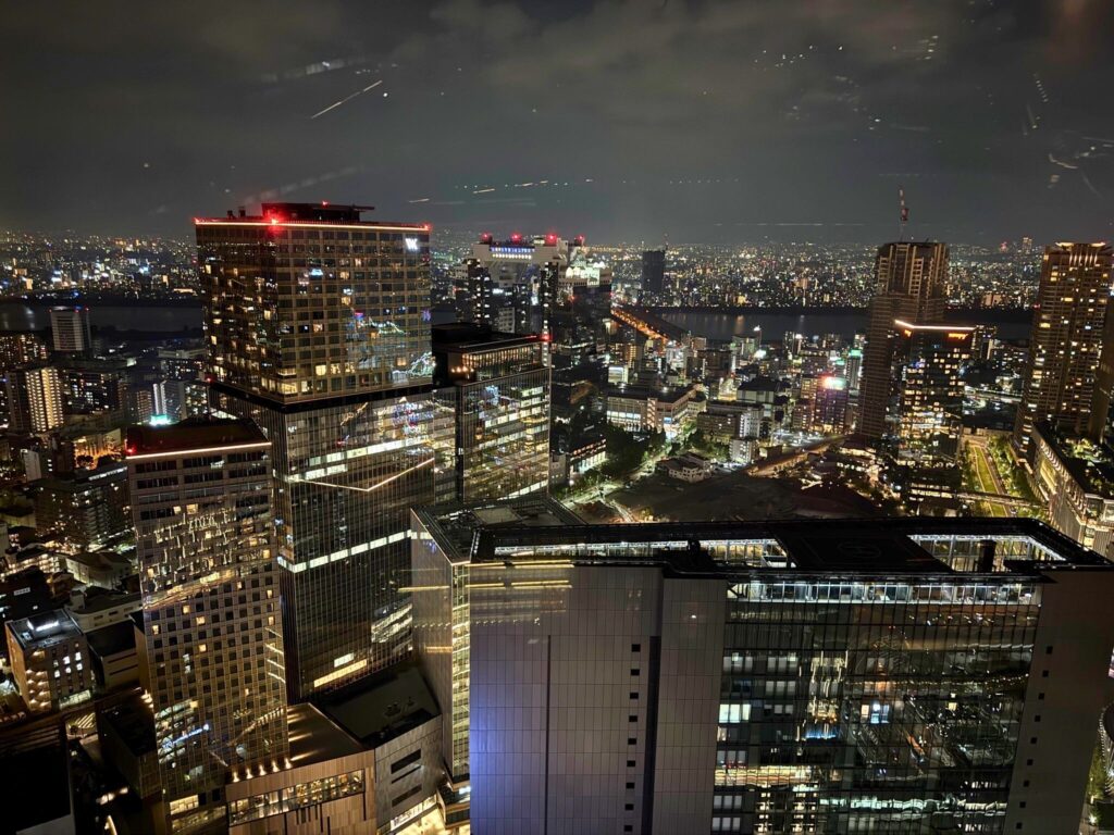 客室からの大阪市街の夜景。高速道路とビル群がきらめく。